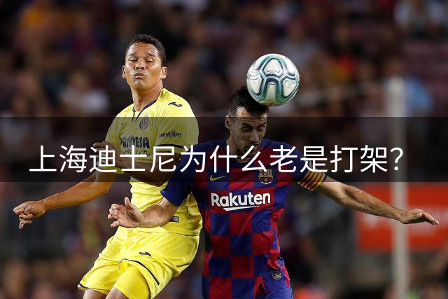 上海迪士尼为什么老是打架？